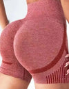 Women Shorts Fitness Gym Running