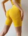BreatheFit Shorts